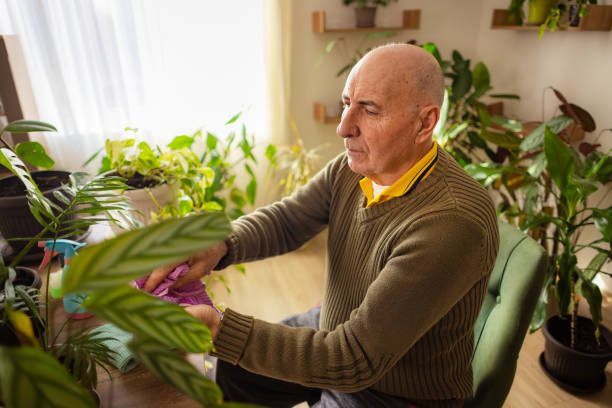 istock Senior Man Cleaning Leaves with Cloth 2185418386
