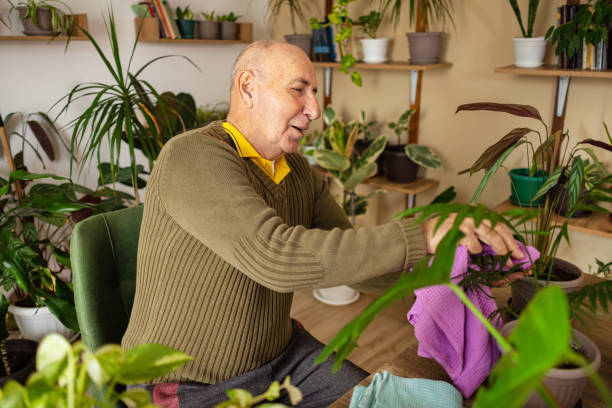 istock Senior Man Using Cloth to Clean Plants 2185418438
