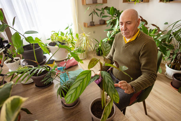 istock Elderly Man Vlogging About Indoor Plants 2185418567