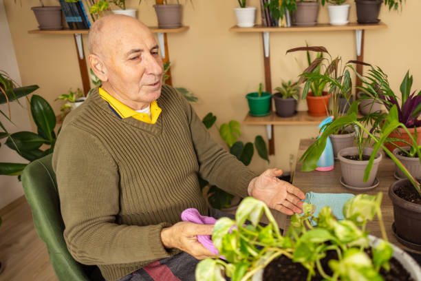 istock Vlog About Potted Plant Care by Senior Man 2185418783