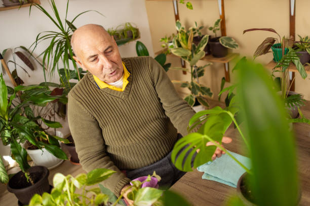 istock Elderly Man Teaching How to Maintain Houseplants 2185418811