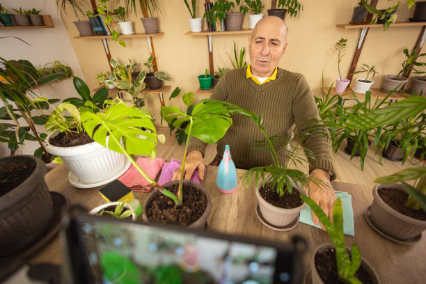 istock Man Educating on Plant Care 2185419342