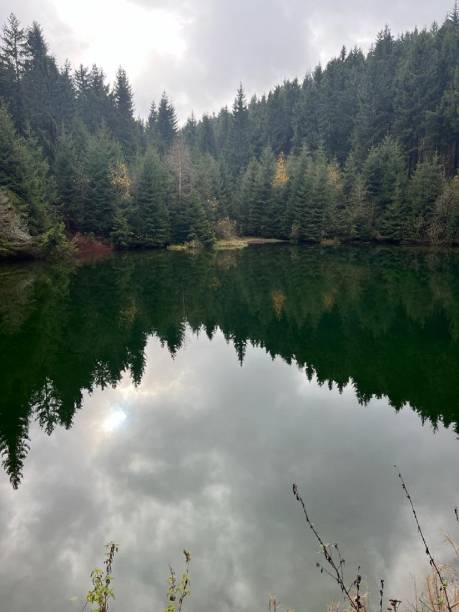 istock Forest is reflected in the mountain lake 2185419398