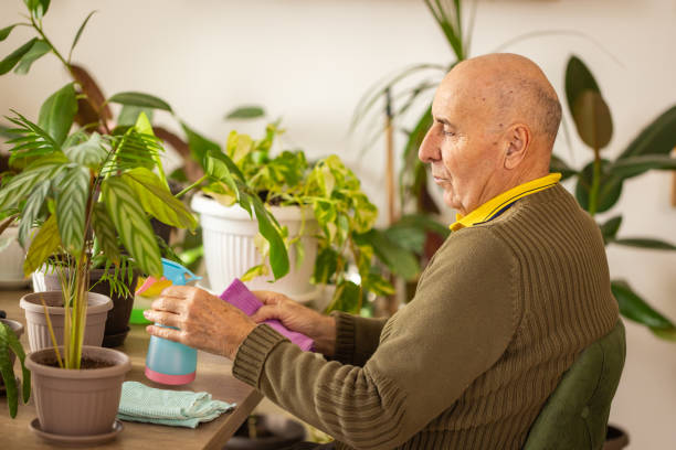 istock Senior Man Spraying Houseplants 2185419521