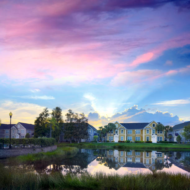 Landscape from residential area in Sarasota, Florida