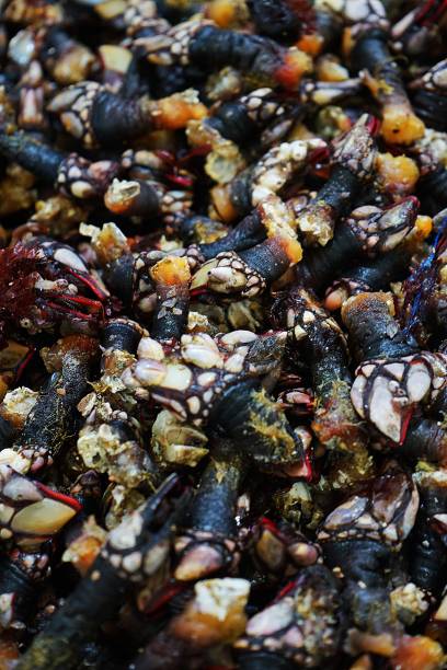 istock Seafood at the Market 2185428102