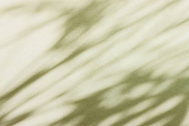 istock Background of texture and shadow abstract. Pastel green colors. 2185429073