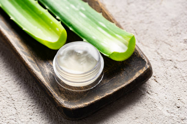 istock Aloe vera leaves on a light background 2185429515