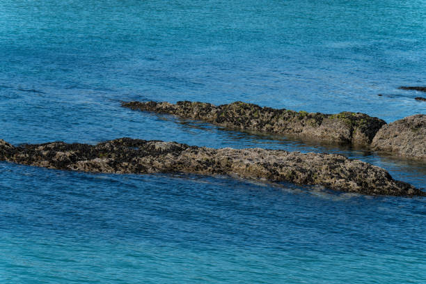 Rocks surrounded by sea water. An oceanic reef. Seascape with rocks.