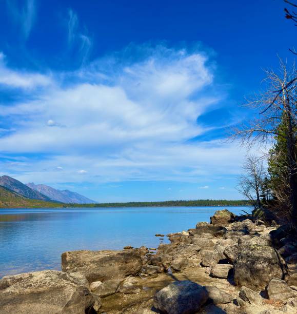 istock Jenny Lake, Wyoming 2185431502