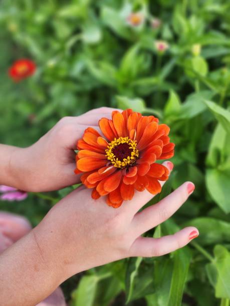 istock Childs sense of wonder 2185432084