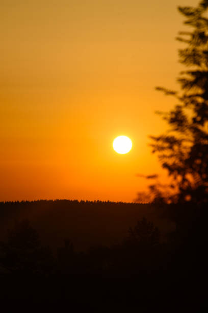 A red sunset on a tree background. The setting sun over the forest in summer.