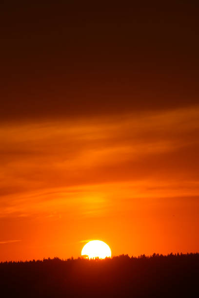 istock A red sunset. The setting sun over the forest in summer. 2185433798