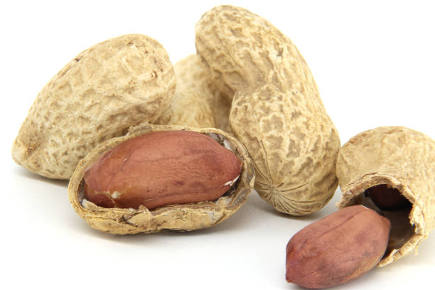 istock Close-Up View of Shelled Peanuts on a White Surface 2185439688