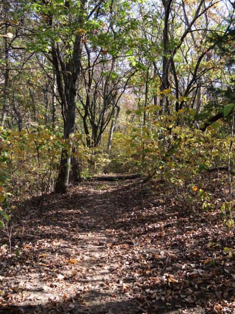 istock Cedar Niles Walking Trail in Late Fall 2185440479