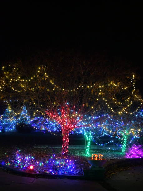 istock Beautiful Colorful Lights in Trees - Christmas 2185442443