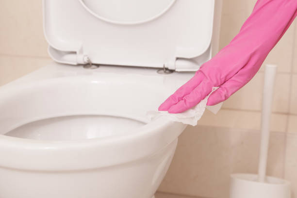 istock Antibacterial Flushable Bathroom Cleaner Wipes. Disinfectant toilet 2185442833