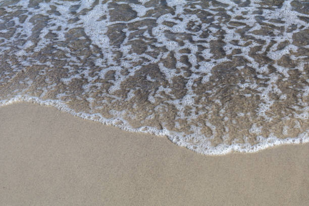 istock Foamy Ocean Wave on Sandy Shoreline 2185445373