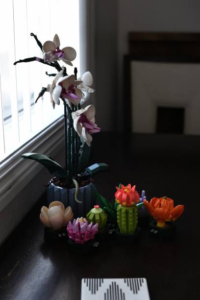istock Plastic Construction Toy Orchid And Succulents In Profile 2185449163