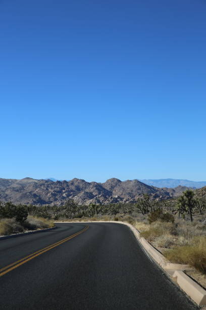 istock Paved empty road through Joshua tree California with rock formations and blue sky 2185451934