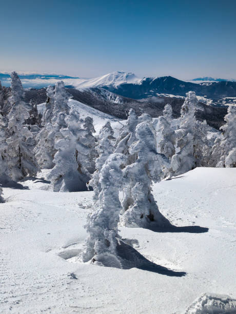 istock Mount Asama volcano and snow covered trees winter landscape 2185453121