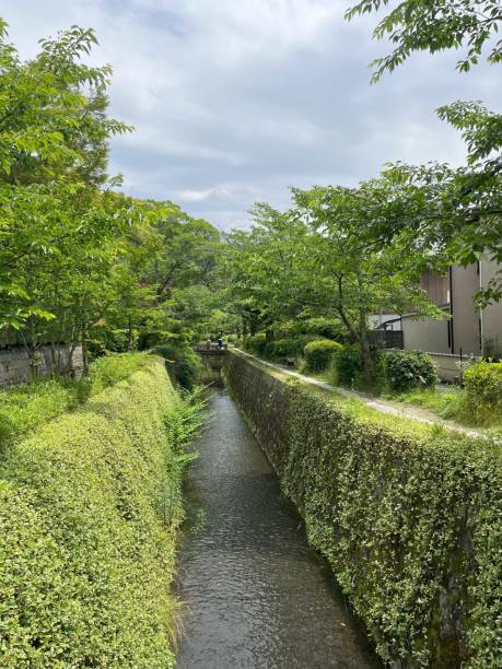 istock Kyoto Japan Philosopher's Path Summer 2185455954