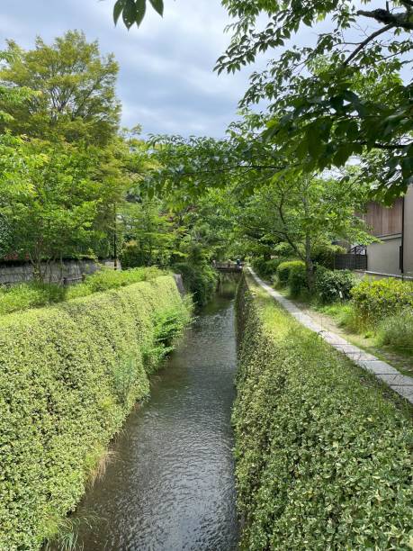 istock Kyoto Japan Philosopher's Path Summer 2185455966
