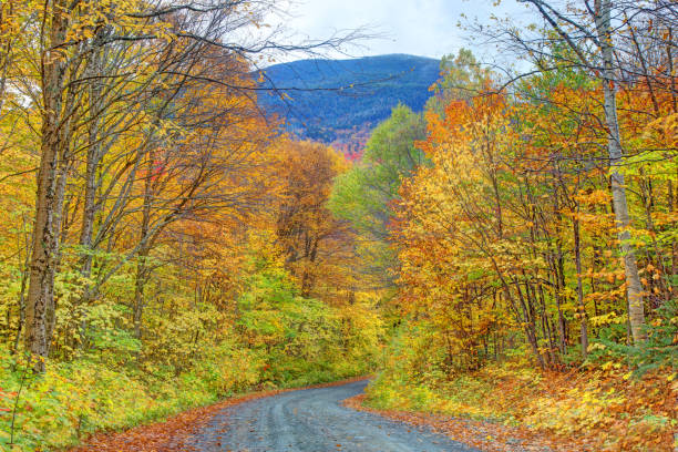 istock Autumn in Greenville, Maine 2185459101