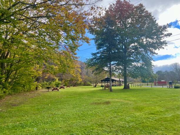 istock Livingston Manor Bridge Park 2185459172