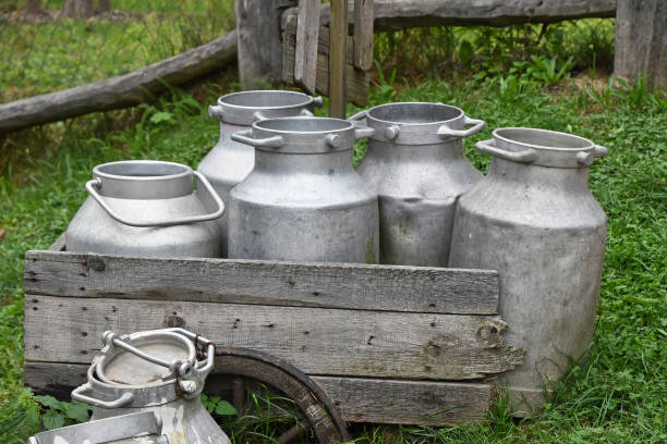 istock Old milk cans sitting in a wooden crate on a farm 2185459864