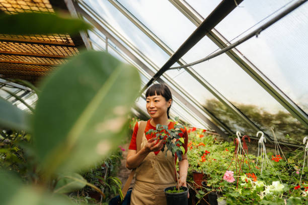 istock Woman in the Greenhouse 2185461480