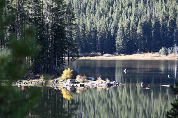 istock Fishing on Calm Water 2185466201