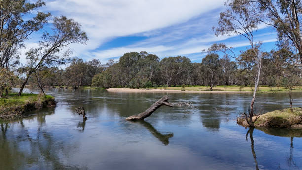 istock Murray River at Doolan's Bend in North East Victoria 2185466233