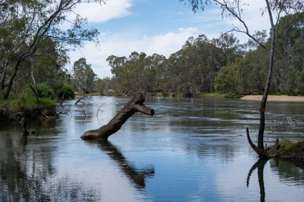 istock Murray River at Doolan's Bend in North East Victoria 2185466778