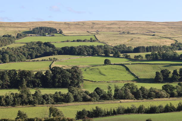 istock View across rolling countryside in summer 2185467056