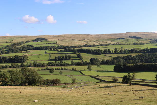 istock View across rolling countryside in summer 2185467449