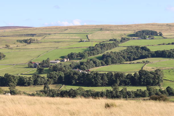 istock View across rolling countryside in summer 2185467469