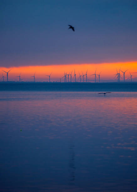 South Padre Island and Port Isabel sunset. Texas, USA