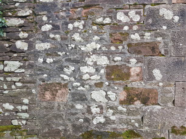 istock An old stone wall, Scotland England UK 2185467832