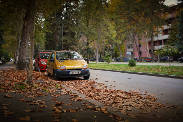 Changes and complications caused by coronavirus epidemy, world without crowds, virus empties streets. No traffic jam, no pollution, empty streets in downtown Bucharest, Romania, 2020