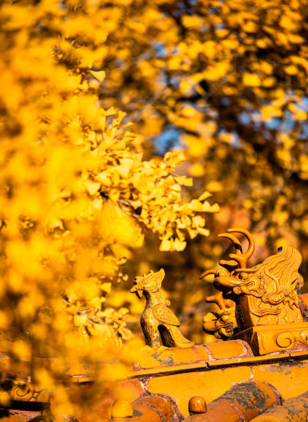Autumn scenery of the Forbidden City