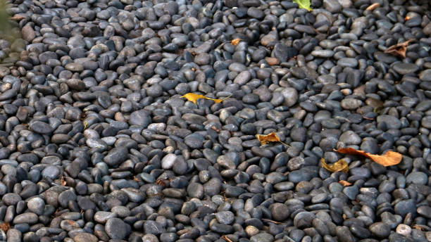 istock collection of coral stones, pebbled texture 2185489609