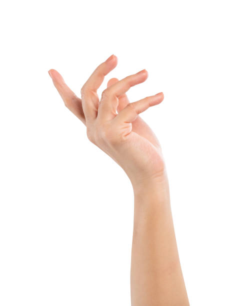 istock Female hand gesture isolated on white background, clipping path. 2185493808