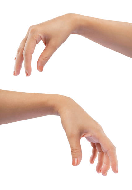 istock Female hand gesture isolated on white background, clipping path. 2185494059