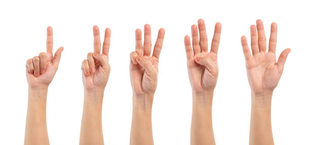 istock Female hand showing one to five fingers countdown isolated on white background, clipping path. 2185494527