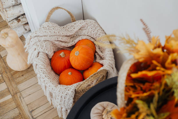 istock Autumn harvest display with pumpkins and decorative elements in a cozy indoor setting 2185494541