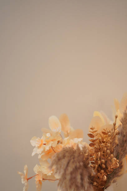 istock Harvest florals and Fall vegetation and flowers 2185503590