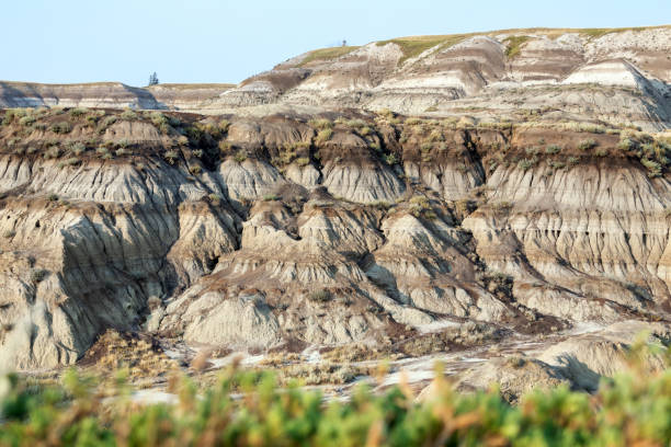 Scenic badlands, eroded sandstone formations on the hills of the canyon with unique flora growing in summer. Horseshoe canyon, Drumheller, Alberta, Canada.