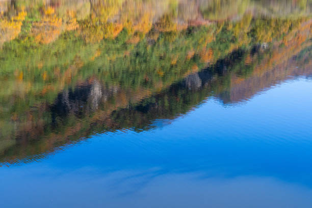 istock mountains, lake and the reflection in autumn 2185506361