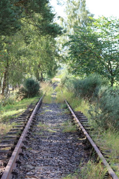 istock Grass growing through tracks on an overgrown disused train line 2185507584